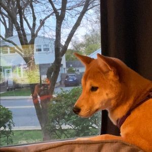 Meet your Posher, Deborah